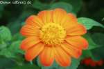 Bild-0001840 Bild-0001840