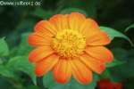 Bild-0001841 Bild-0001841