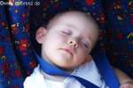 Bild-0001850 Bild-0001850