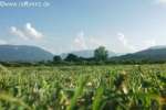 Bild-0001893 Bild-0001893