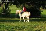 Bild-0001905 Bild-0001905