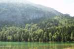 Bild-0001921 Bild-0001921
