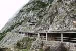 Bild-0001978 Bild-0001978