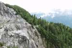 Bild-0001981 Bild-0001981