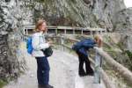 Bild-0002002 Bild-0002002