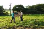 Bild-0002073 Bild-0002073