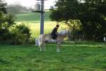 Bild-0002078 Bild-0002078