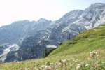 Bild-0002131 Bild-0002131