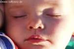 Bild-0002259 Bild-0002259