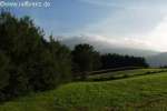 Bild-0002265 Bild-0002265