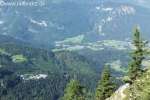 Bild-0002293 Bild-0002293