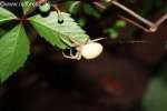 Bild-0002468 Bild-0002468
