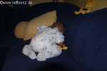 Bild-0003242 Bild-0003242