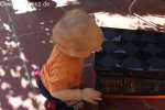 Bild-0003256 Bild-0003256