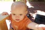 Bild-0003258 Bild-0003258