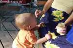 Bild-0003262 Bild-0003262