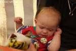 Bild-0003277 Bild-0003277