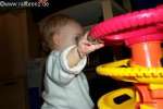 Bild-0003137