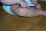Bild-0002482 Bild-0002482