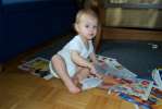 Bild-0002495 Bild-0002495