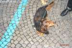 Bild-0004202 Bild-0004202