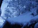 Bild-0004288 Bild-0004288
