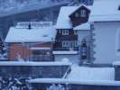 Bild-0004295 Bild-0004295