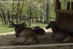 Bild-0003416 Bild-0003416