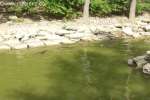 Bild-0003423 Bild-0003423