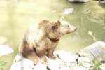 Bild-0003428 Bild-0003428