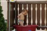 Bild-0004881 Bild-0004881