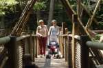 Bild-0004427 Bild-0004427