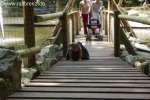 Bild-0004428 Bild-0004428