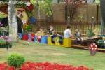 Bild-0004464 Bild-0004464