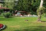Bild-0004478 Bild-0004478