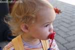 Bild-0004335