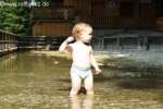 Bild-0003455 Bild-0003455