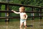 Bild-0003461 Bild-0003461