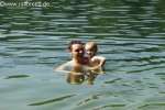 Bild-0003476 Bild-0003476