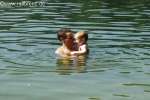 Bild-0003478 Bild-0003478