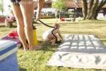 Bild-0003624 Bild-0003624