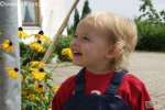 Bild-0003715 Bild-0003715