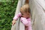 Bild-0003811 Bild-0003811