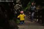 Bild-0003820 Bild-0003820