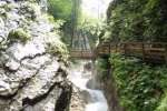 Bild-0003827 Bild-0003827