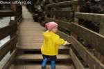 Bild-0003836 Bild-0003836