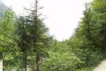 Bild-0003846 Bild-0003846