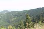 Bild-0003936 Bild-0003936