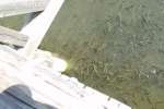 Bild-0003980 Bild-0003980