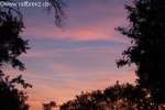 Bild-0004990